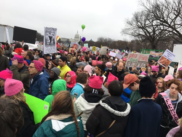 Photo of a crowd of people, many in pink hats, standingon the National Mall, with the Captial Building off in the distance. One person holds a sign that reads "Witches, we need you!"
